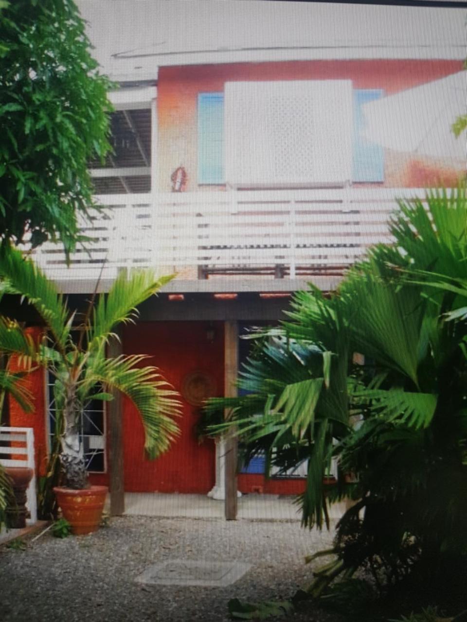 Mikuzi Hotel Kingston Ngoại thất bức ảnh