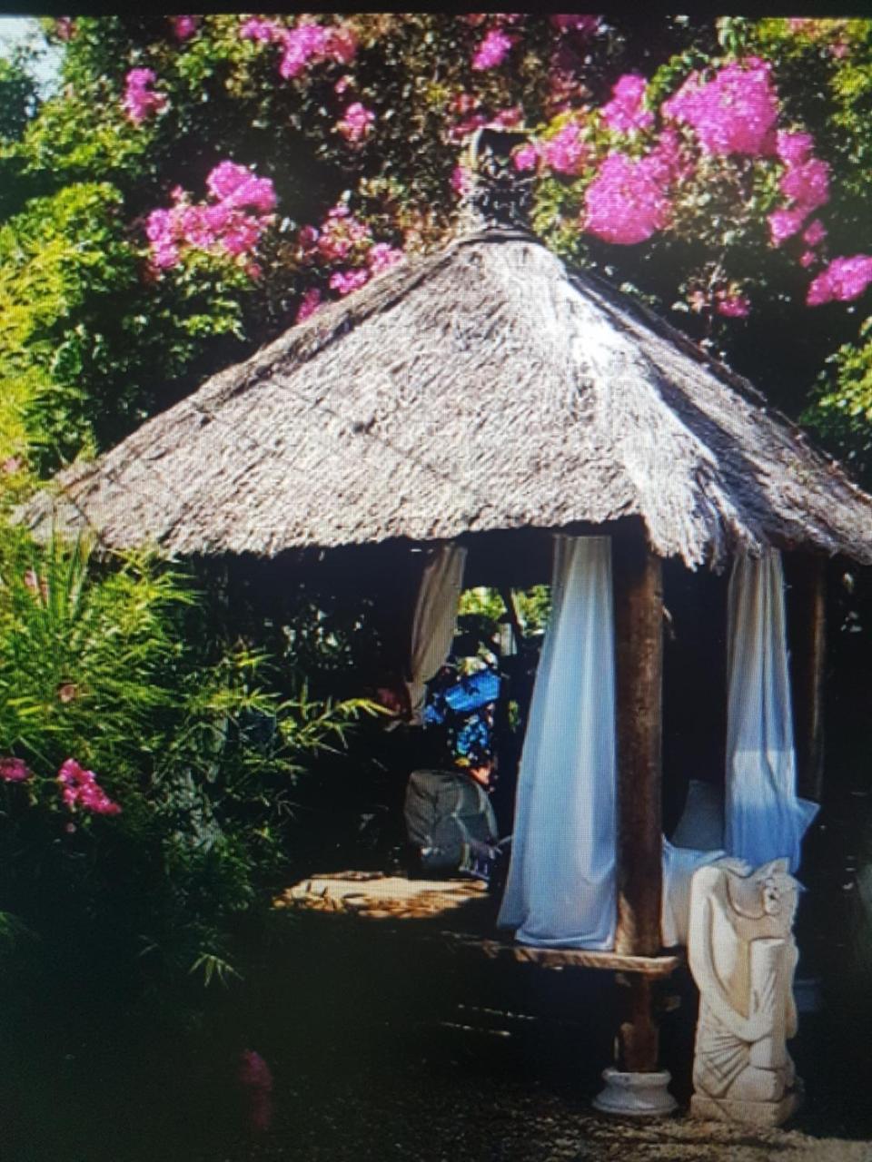 Mikuzi Hotel Kingston Ngoại thất bức ảnh